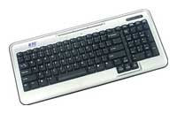 BTC 5145 Multimedia Keyboard, Silver-Black, USB
