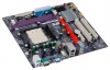 EliteGroup Socket AM2+/AM2  GeForce6100PM-M2 v2, GF6100,2DDR2 800 Dual,Video,PCI-Ex16,LAN,4SATA2, RAID,mATX