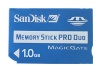 San Disk Memory Stick Pro DUO Card 1024 Mb retail