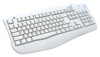 Oklick 340M White Office Keyboard Ergo, , PS/2.